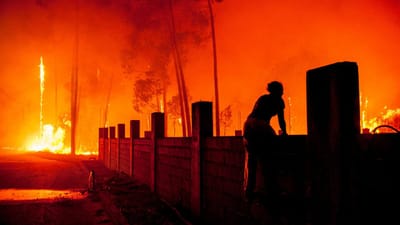 Recuperadas habitações de 919 famílias afetadas pelos incêndios de outubro de 2017 - TVI