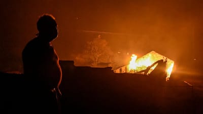 GNR identifica homem pelo crime de fogo florestal no Fundão - TVI