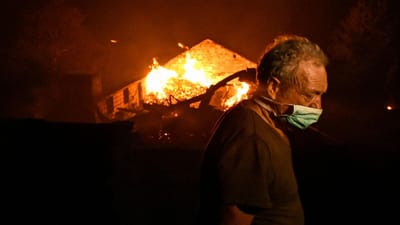 Incêndios: Proteção Civil confirma 31 mortos - TVI