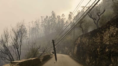 Arganil apela ao Estado para ajudar a estabilizar solos ardidos - TVI