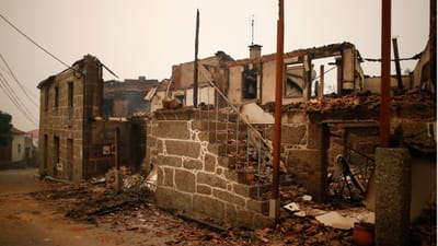 Fogos atingiram 800 casas de primeira habitação - TVI