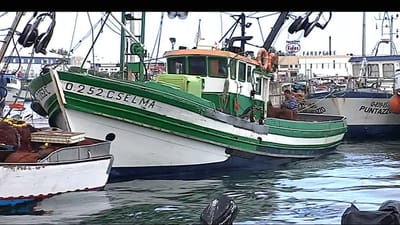 Cada pescador de sardinha vai receber 960 euros - TVI