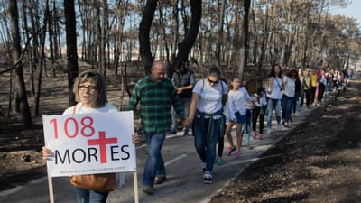 Incêndios: ONG francesa corre risco de fechar missão em Portugal por falta de apoios - TVI