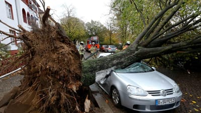 Tempestade Herwart faz cinco mortos na Europa central - TVI