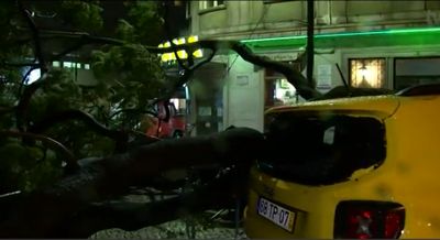 Árvore cai sobre carro na zona do Saldanha, em Lisboa - TVI