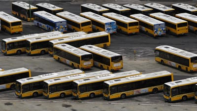 Área Metropolitana de Lisboa prevê reposição de transportes nos próximos dias - TVI