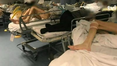 Ordem apela aos enfermeiros para denunciarem situações que atentem a dignidade humana - TVI