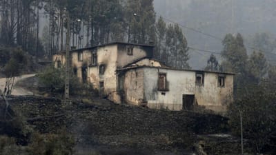Quase três meses depois, a terra continua a arder em Castelo de Paiva - TVI
