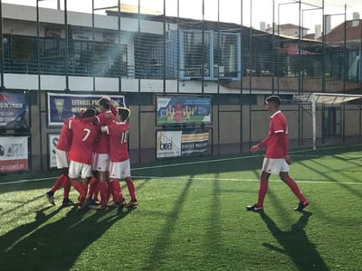 Juniores: Benfica lidera a sul, FC Porto escorrega e falha liderança - TVI