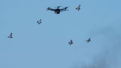Força Aérea vai utilizar 'drones' na prevenção e combate de incêndios - TVI