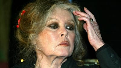 Brigitte Bardot diz que atrizes "seduzem" produtores para entrar em filmes - TVI