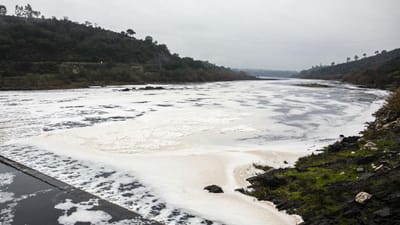 Remoção de espuma no Tejo é “operação estética” e “não resolve poluição do rio” - TVI
