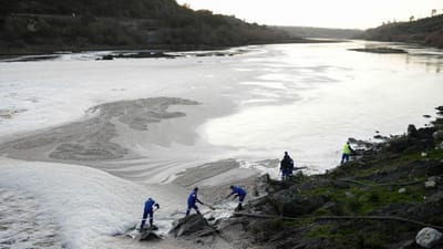 Celtejo defende divulgação das análises à poluição no rio Tejo - TVI