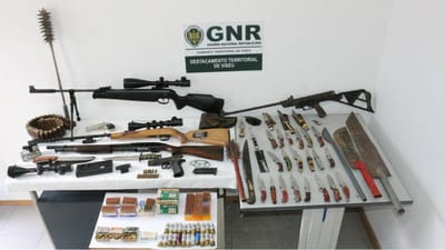 GNR deteve homem por posse ilegal de 43 armas em Vouzela - TVI