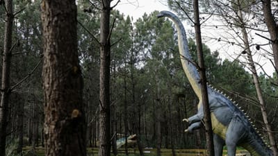 Revelada nova espécie de dinossauro na Lourinhã - TVI