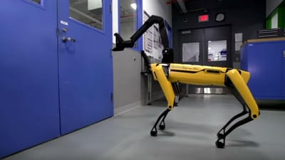 O vídeo de um cão-robô que está a assustar muita gente - TVI