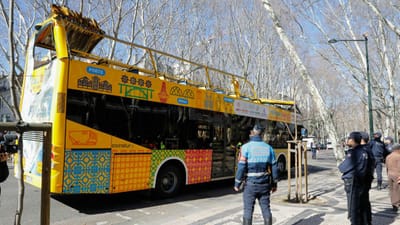 Lisboa: árvore onde bateu autocarro “não estava sinalizada" - TVI
