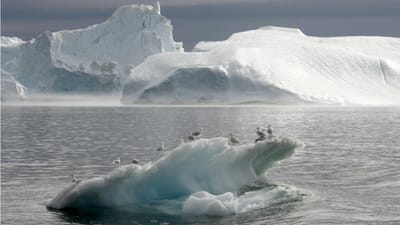 Icebergue de seis quilómetros soltou-se de glaciar na Gronelândia - TVI