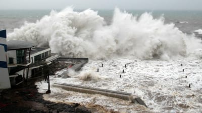 Homem arrastado por onda desaparece no mar da Madeira - TVI