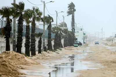 Câmara de Faro pede ajuda ao Governo por causa do mau tempo - TVI