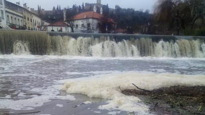 Câmara de Tomar entrega queixa por poluição no rio Nabão - TVI