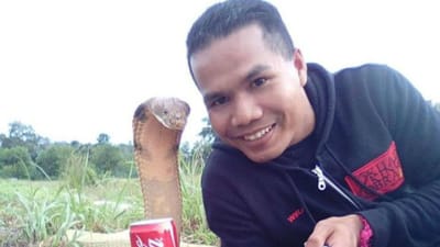 Homem que treinava cobras morreu ao ser mordido por uma - TVI