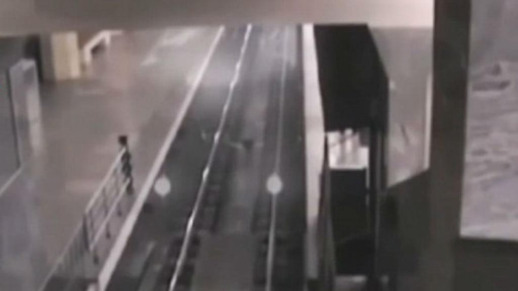 "Comboio fantasma" apanhado por câmaras de segurança de estação de comboios