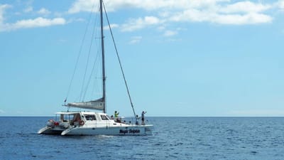 Espanhola de 16 anos resgatada de barco durante passeio no Funchal - TVI