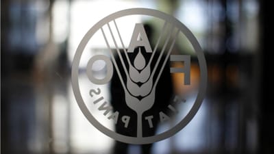 Escritório da FAO em Portugal desativado e planos de evolução para parceria suspensos - TVI