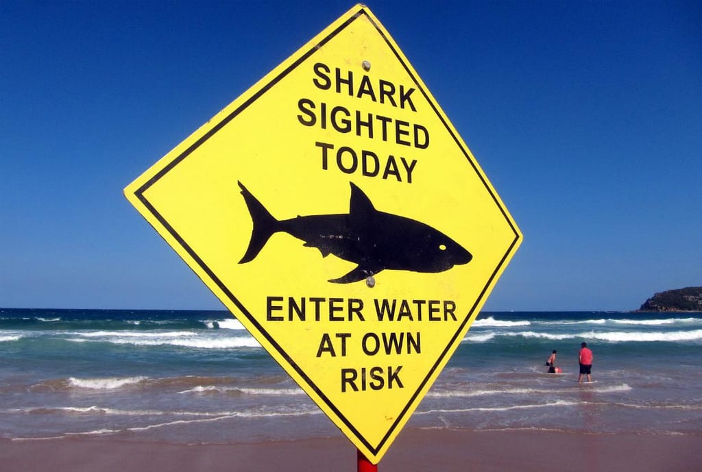 Aviso de tubarões na costa - Austrália