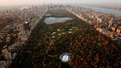 Nova Iorque proíbe veículos no Central Park - TVI