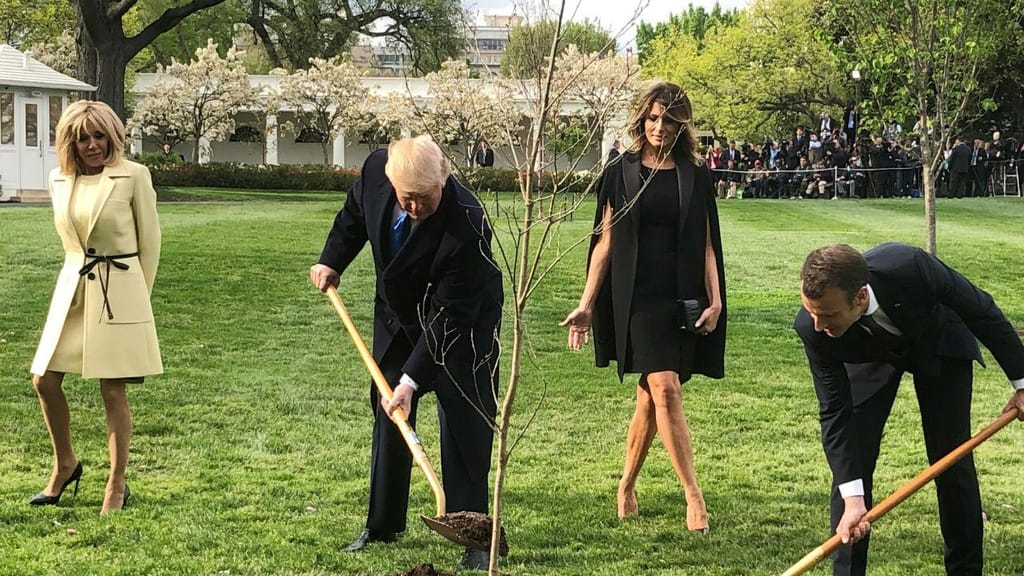 Trump e Macron plantaram a árvore juntos na semana passada 