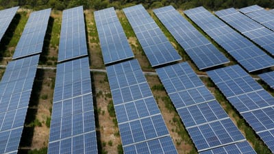 Azambuja: Governo suspende avaliação de impacte ambiental de projeto fotovoltaico da Torre Bela - TVI