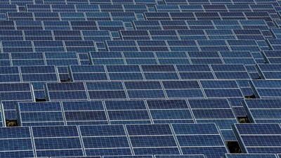 Prazo para candidaturas ao leilão solar em 12 lotes começa hoje - TVI