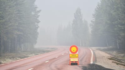 Suécia desespera com incêndios e temperaturas que não baixam - TVI