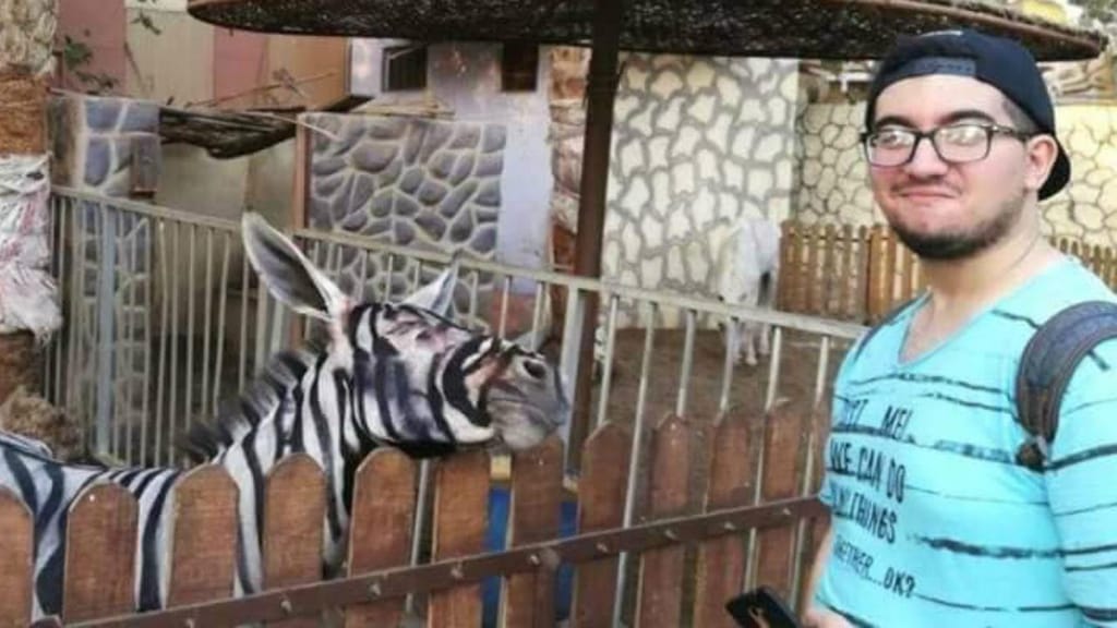Zoológico no Egito pinta burro para passar por zebra
