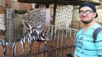 Jardim zoológico pintou um burro para este parecer uma zebra - TVI
