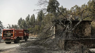 Monchique: 95% do perímetro do incêndio está dominado - TVI