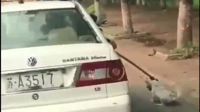 Vídeo mostra cão a ser arrastado por carro da polícia - TVI