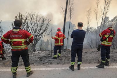 Quase dois terços das verbas para incêndios de 2017 já foram usadas - TVI