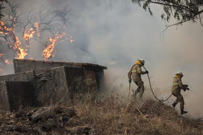 Monchique: chamas chegaram a Portimão - TVI