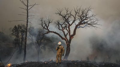 Vento que dificulta combate aos fogos "vai diminuir a partir de sábado" - TVI