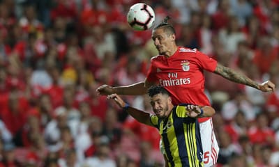 Benfica: Fejsa já não foge ao Fenerbahçe - TVI