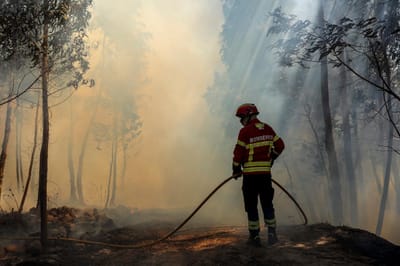 Incêndios: quase 200 bombeiros combatem chamas na Sertã - TVI