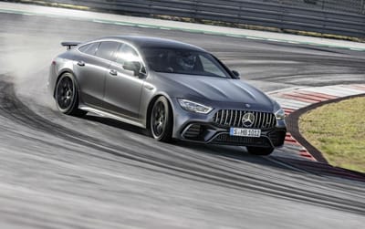 Hamilton e amigos peludos são estrelas do anúncio do novo Mercedes-AMG GT - TVI