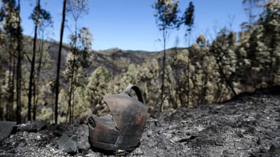 Proteção Civil dá incêndio de Monchique como dominado - TVI