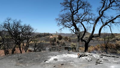Grande incêndio de Monchique queimou 28 mil hectares no Algarve - TVI