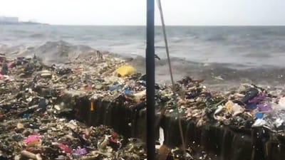 Vídeo mostra uma grande quantidade de lixo a dar à costa nas Filipinas  - TVI