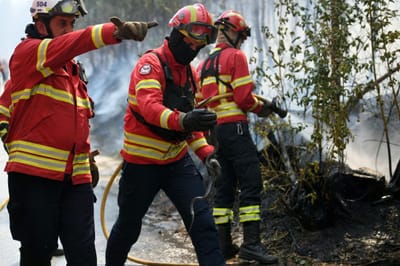 Fogo na Póvoa de Lanhoso fere bombeiro - TVI