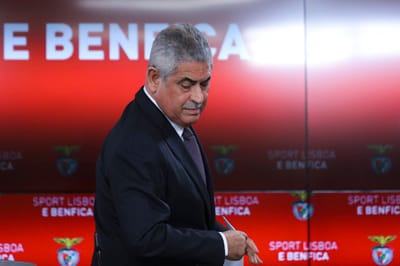 E-toupeira: Vieira jura legalidade de comportamentos do Benfica - TVI